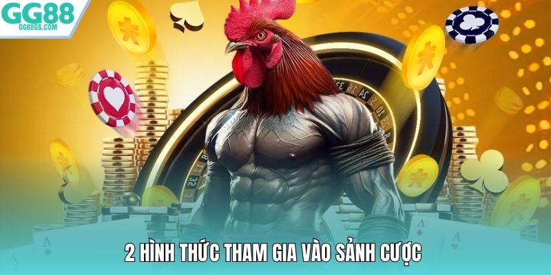 2 hình thức tham gia vào sảnh cược