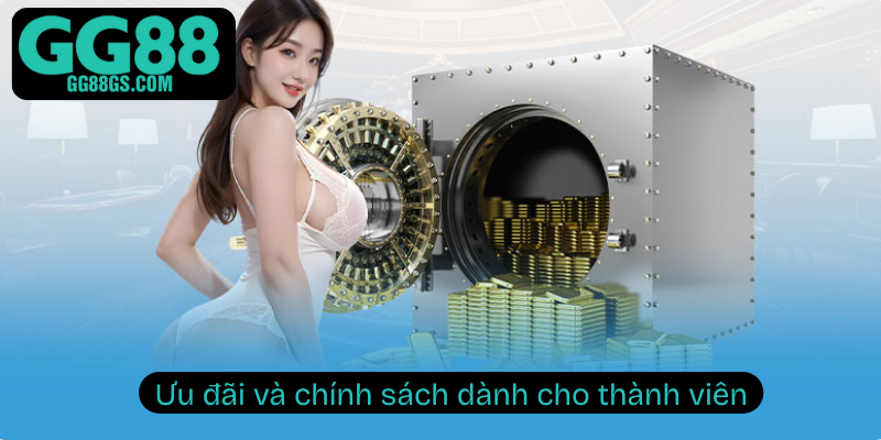 Ưu đãi và chính sách dành cho thành viên