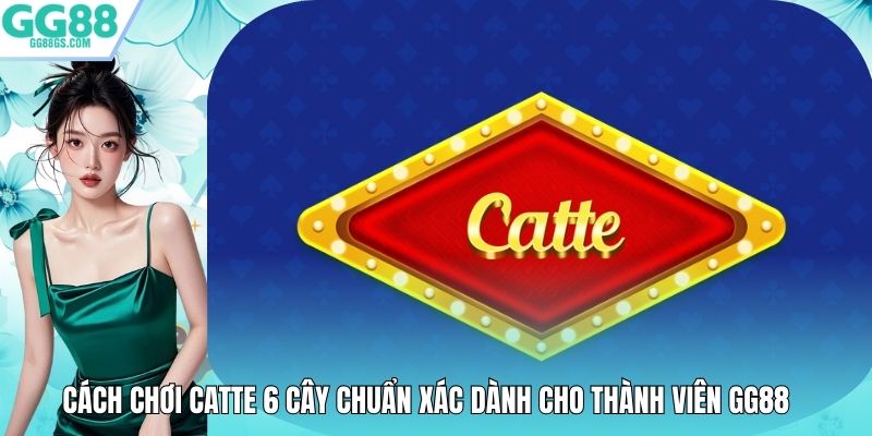 Cách Chơi Catte 6 Cây Chuẩn Xác Dành Cho Thành Viên GG88