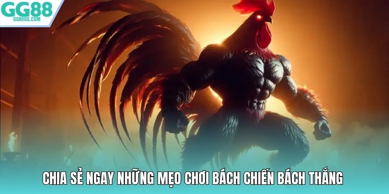 Chia sẻ ngay những mẹo chơi bách chiến bách thắng