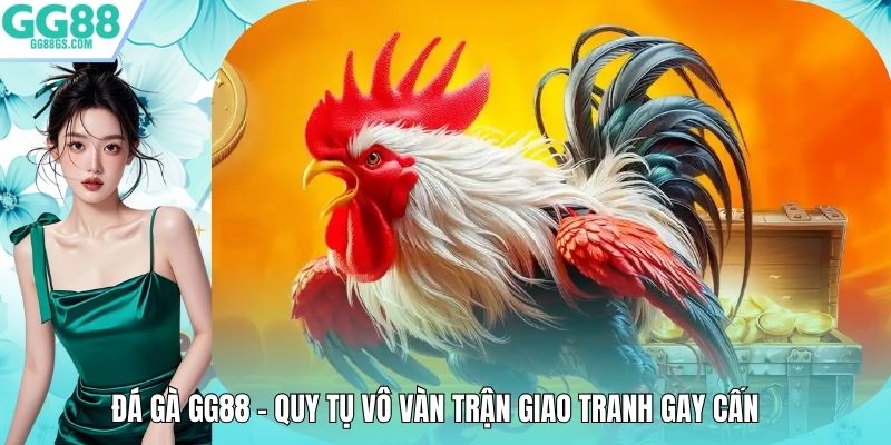Đá Gà GG88 – Quy Tụ Vô Vàn Trận Giao Tranh Gay Cấn