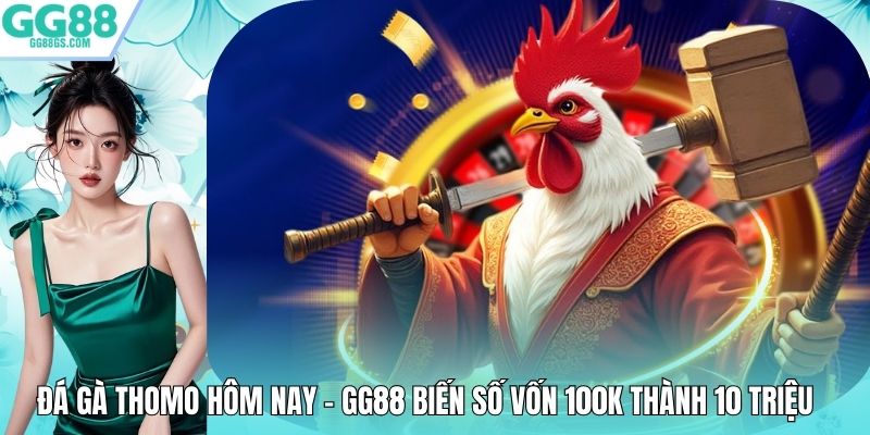 Đá Gà Thomo Hôm Nay - GG88 Biến Số Vốn 100k Thành 10 Triệu