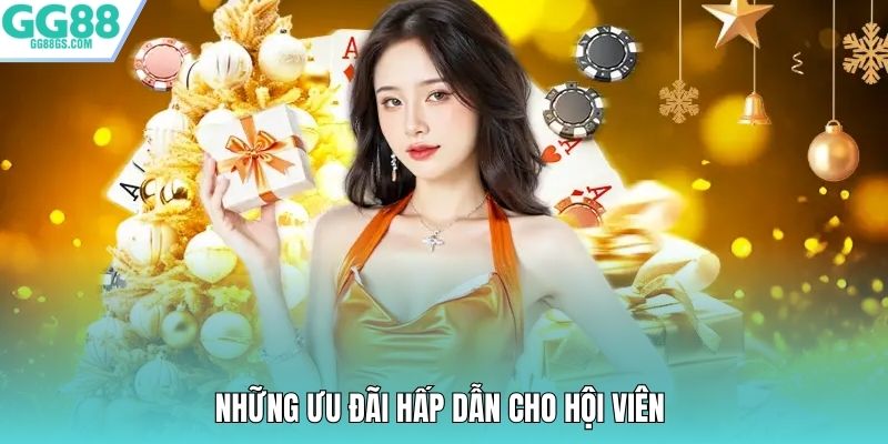 Những ưu đãi hấp dẫn cho hội viên