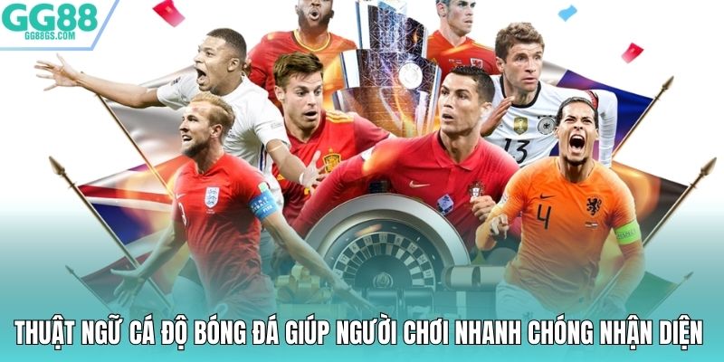 Thuật ngữ cá độ bóng đá giúp người chơi nhanh chóng nhận diện