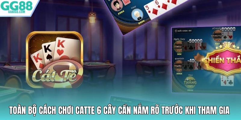 Toàn bộ cách chơi Catte 6 cây cần nắm rõ trước khi tham gia