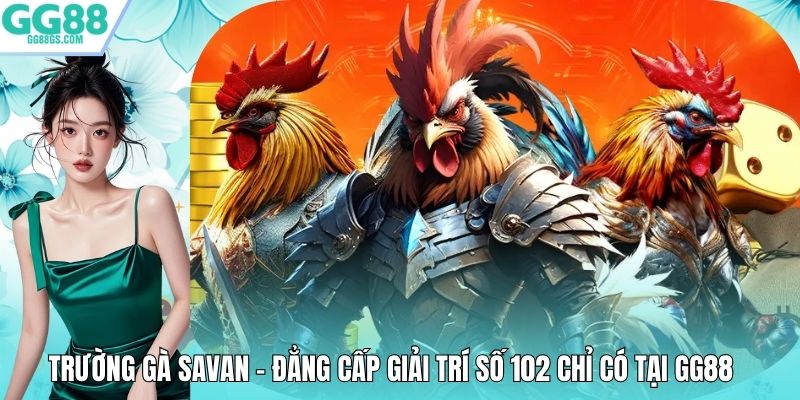 Trường Gà Savan - Đẳng Cấp Giải Trí Số 102 Chỉ Có Tại GG88