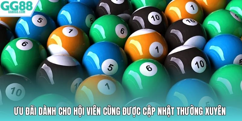 Ưu đãi dành cho hội viên cũng được cập nhật thường xuyên